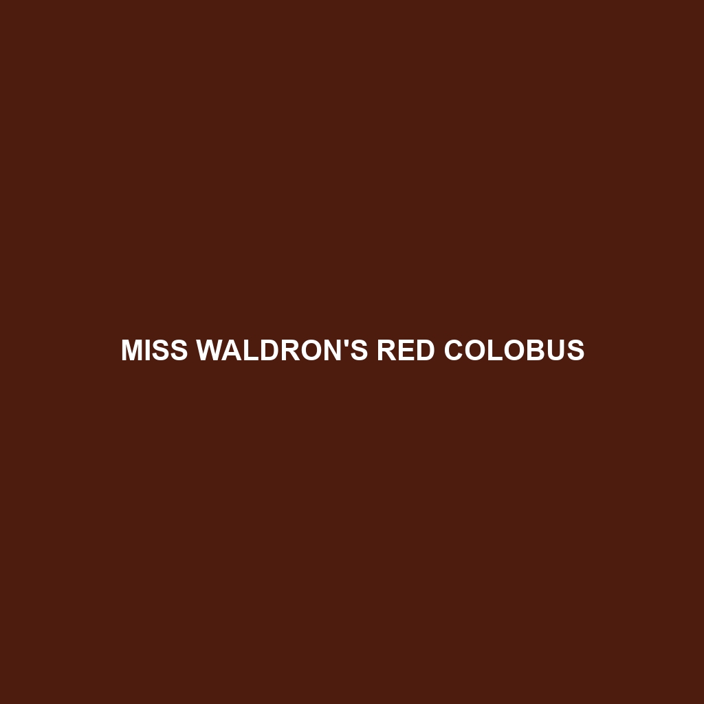 Miss Waldron's Red Colobus