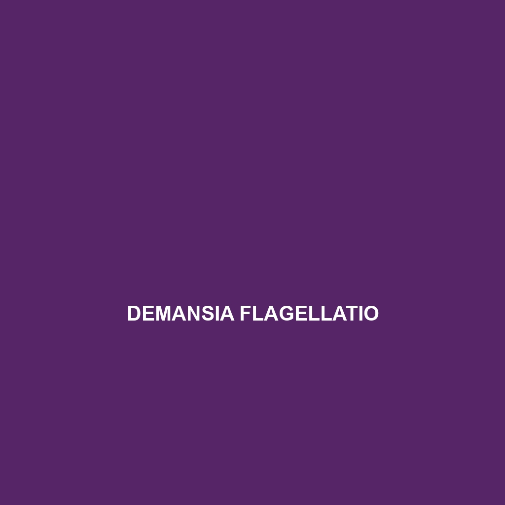 Demansia flagellatio