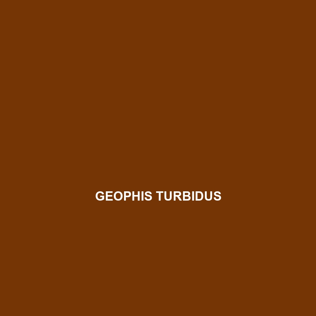 Geophis turbidus