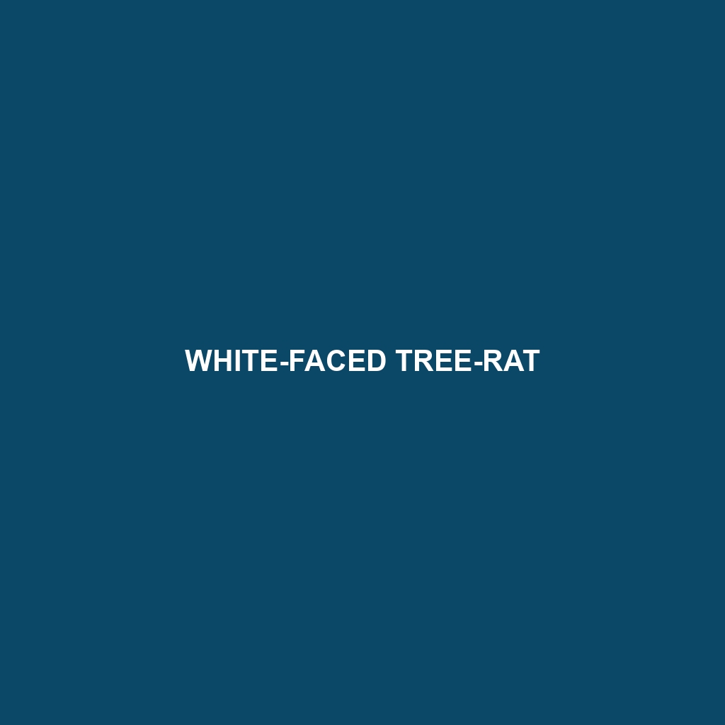 White-faced Tree-rat