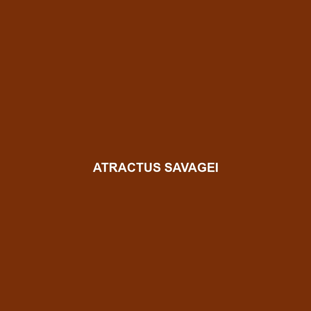 Atractus savagei