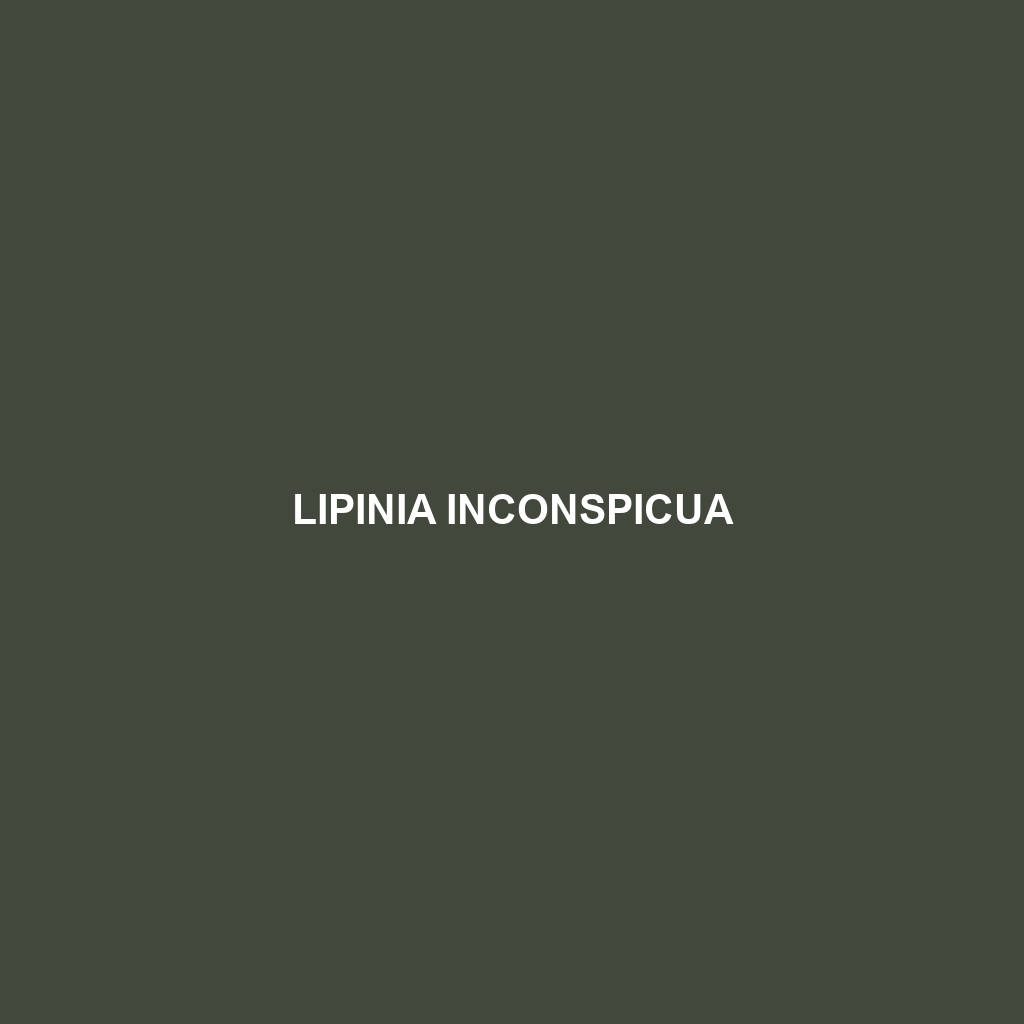 Lipinia inconspicua