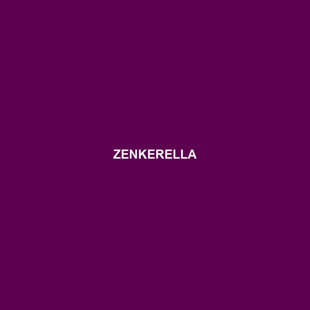 Zenkerella