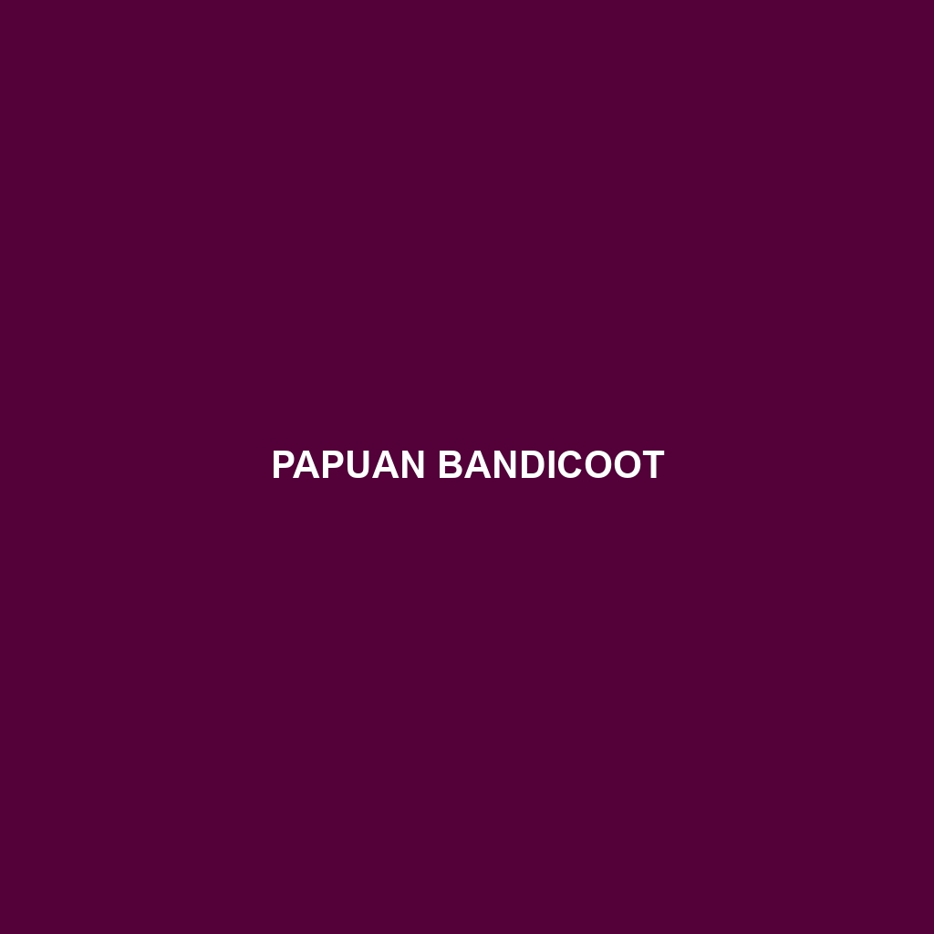 Papuan Bandicoot