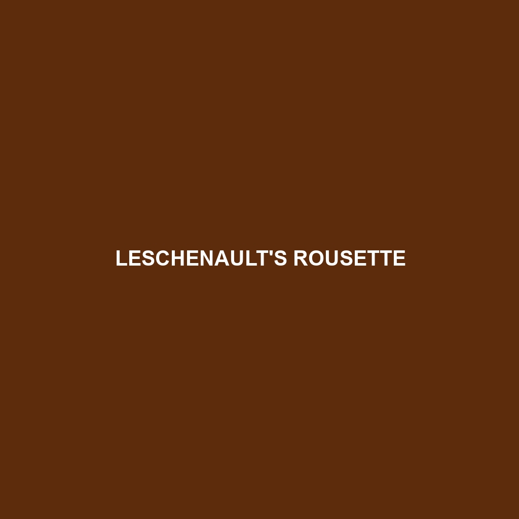 Leschenault's Rousette