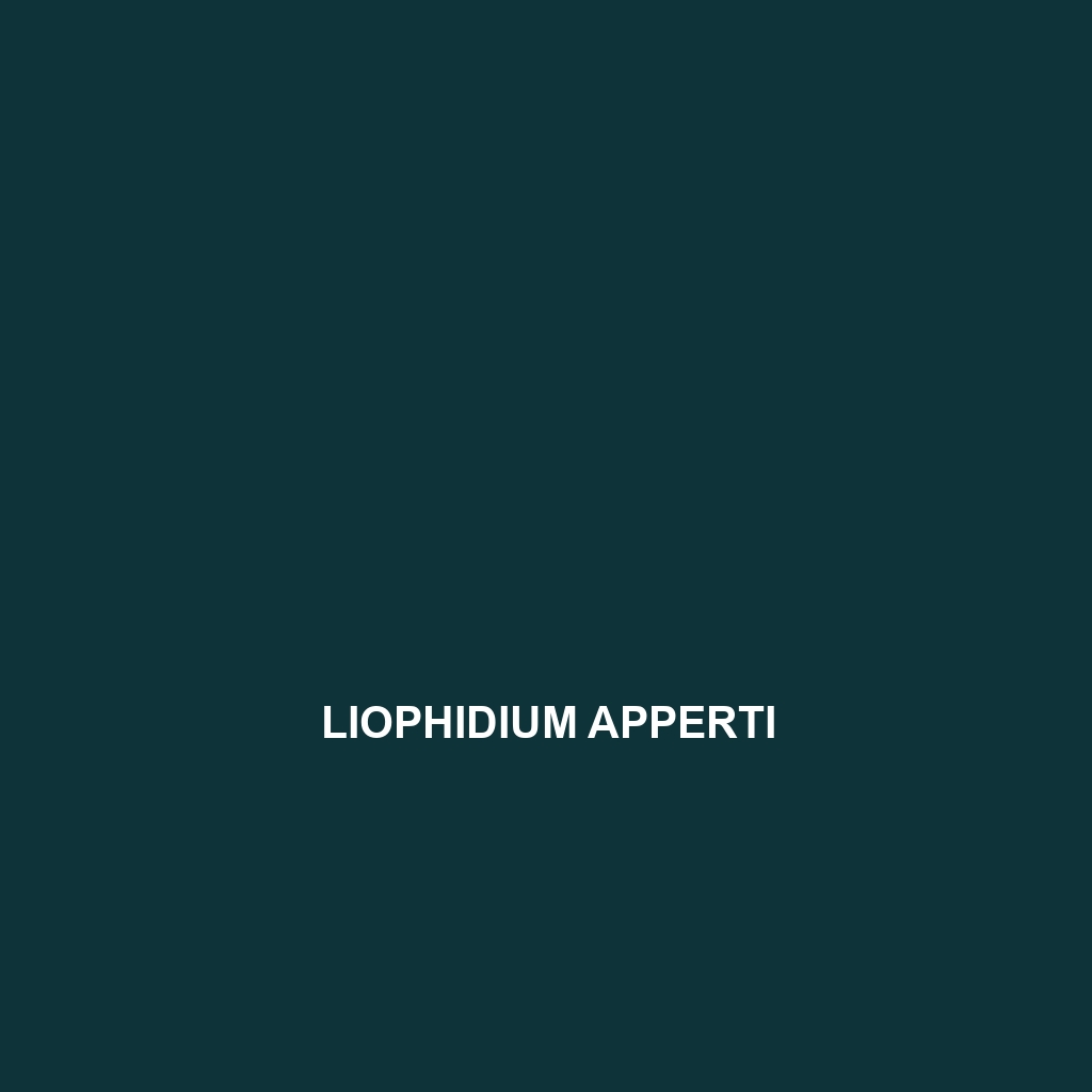 Liophidium apperti