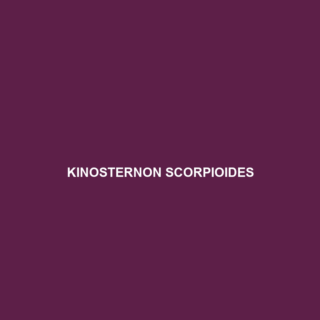 Kinosternon scorpioides