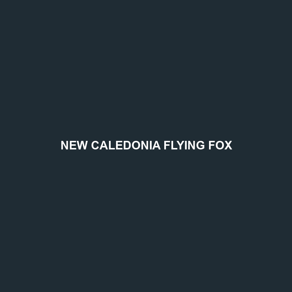 New Caledonia Flying Fox