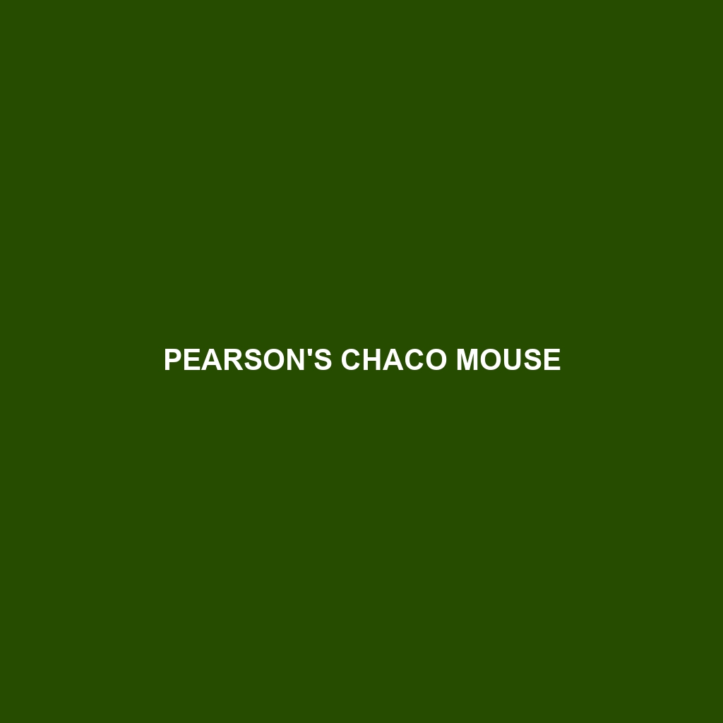 Pearson's Chaco Mouse