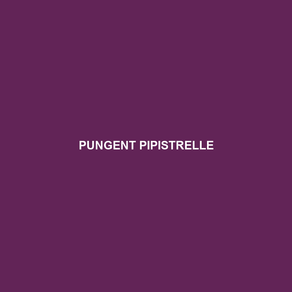 Pungent Pipistrelle