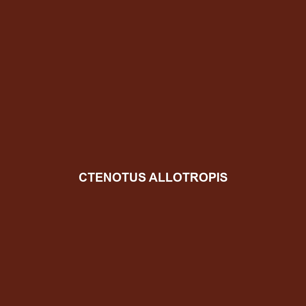 Ctenotus allotropis