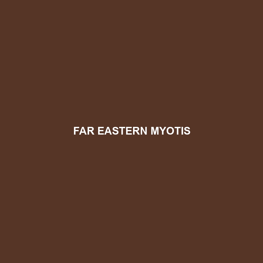 Far Eastern Myotis