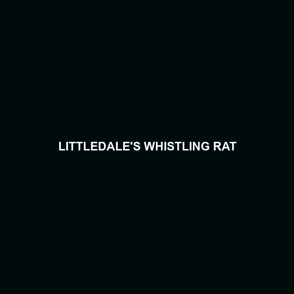 Littledale's Whistling Rat