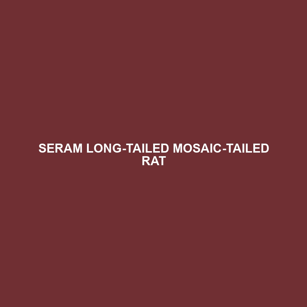 Seram Long-tailed Mosaic-tailed Rat