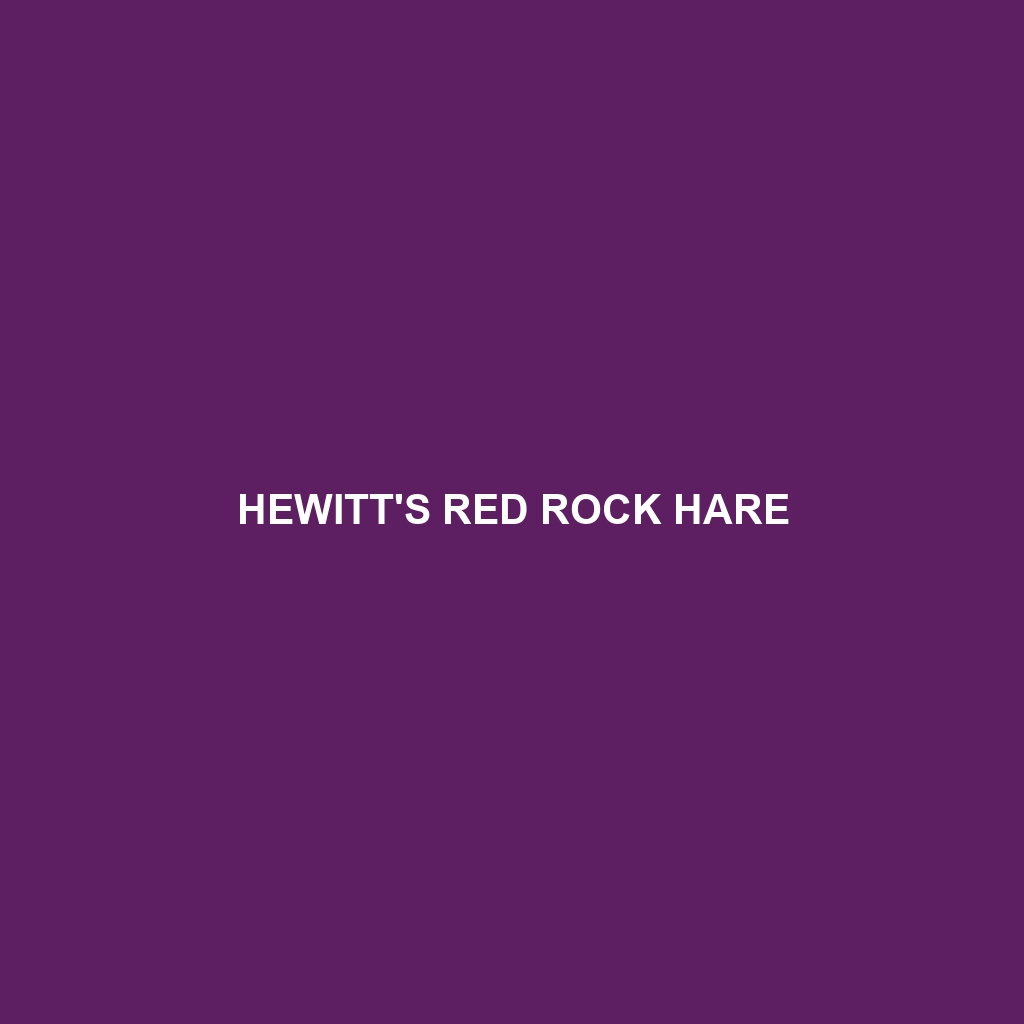 Hewitt's Red Rock Hare