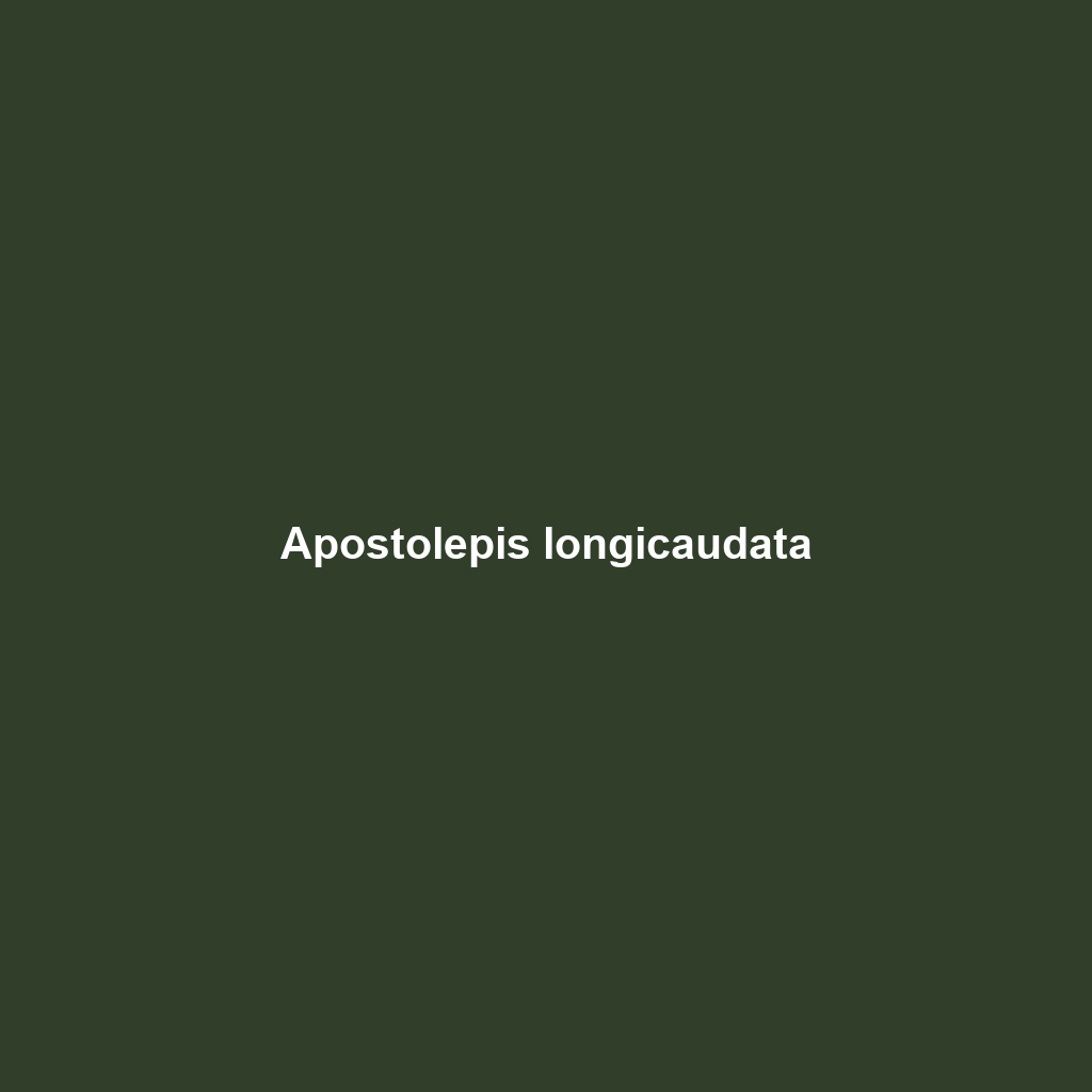 Apostolepis longicaudata