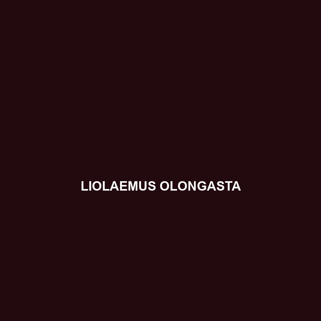 Liolaemus olongasta