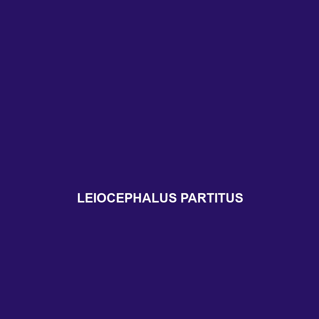 Leiocephalus partitus