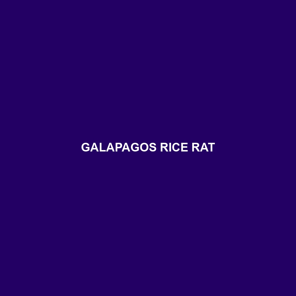 Galapagos Rice Rat