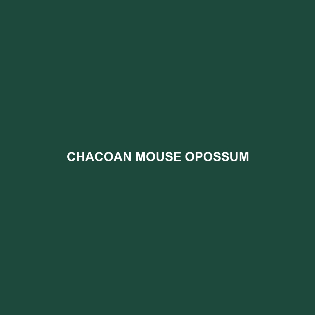 Chacoan Mouse Opossum