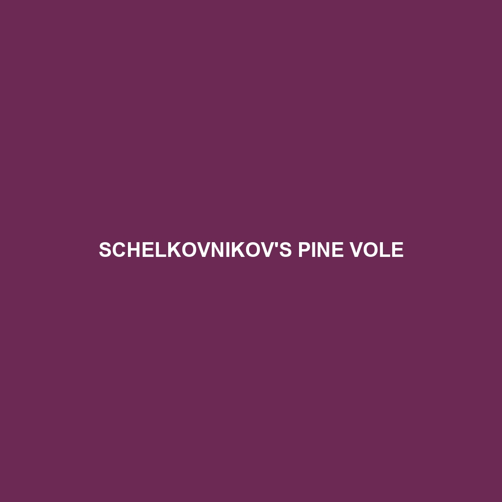 Schelkovnikov's Pine Vole