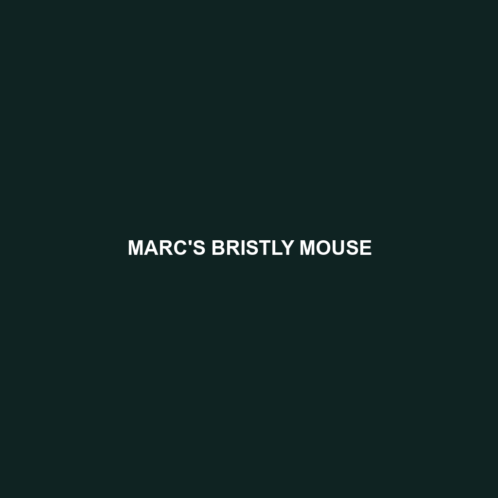 Marc's Bristly Mouse