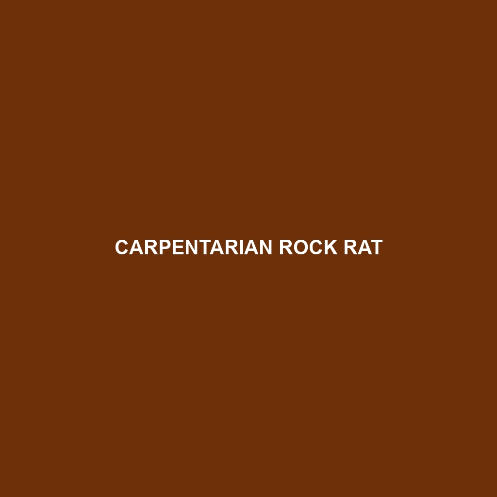 Carpentarian Rock Rat