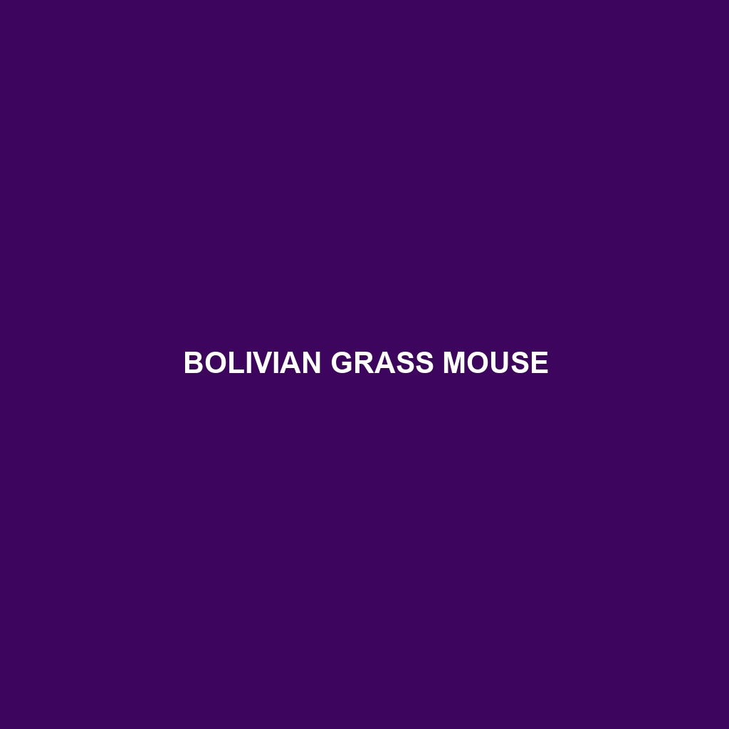 Bolivian Grass Mouse