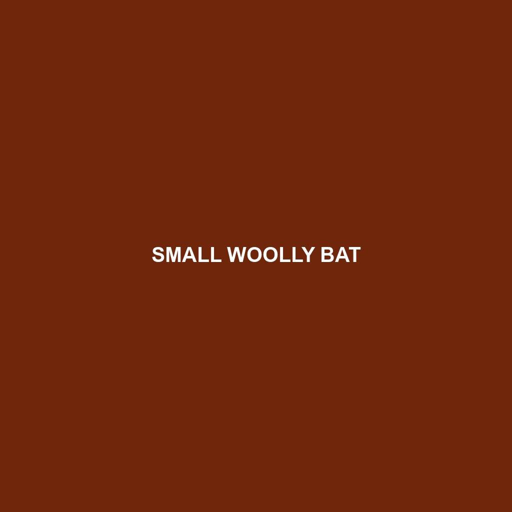 Small Woolly Bat