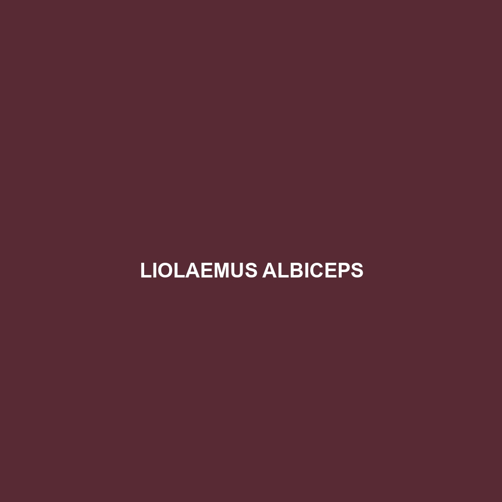 Liolaemus albiceps