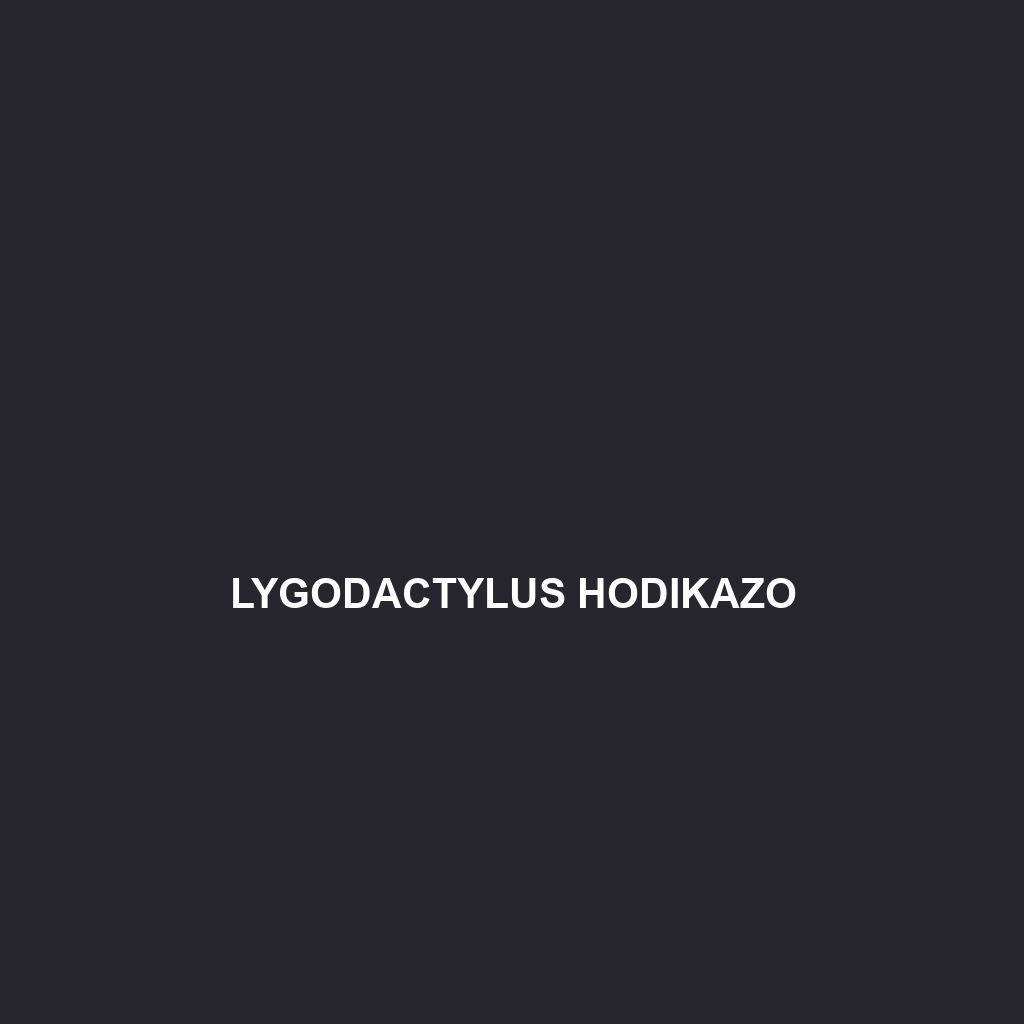 Lygodactylus hodikazo