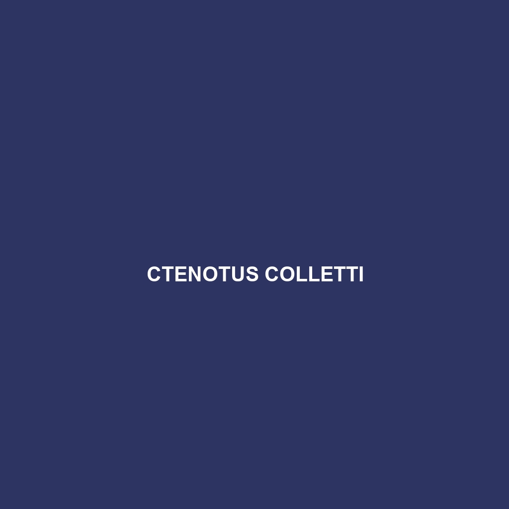 Ctenotus colletti