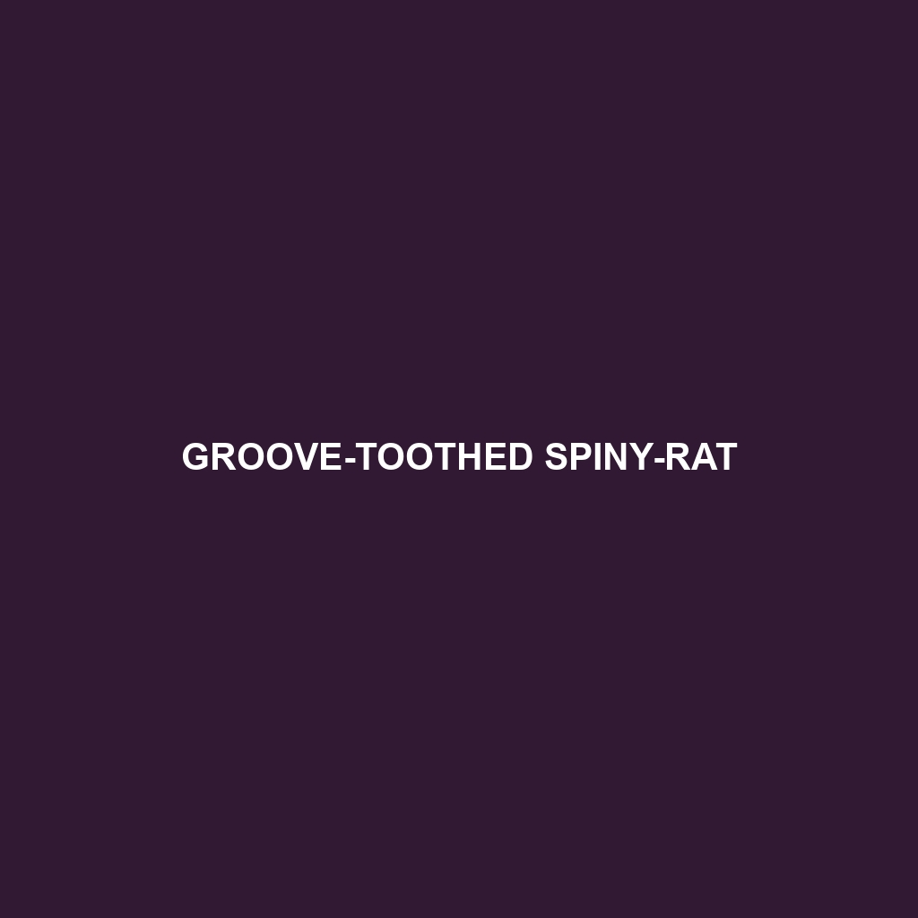 Groove-toothed Spiny-rat