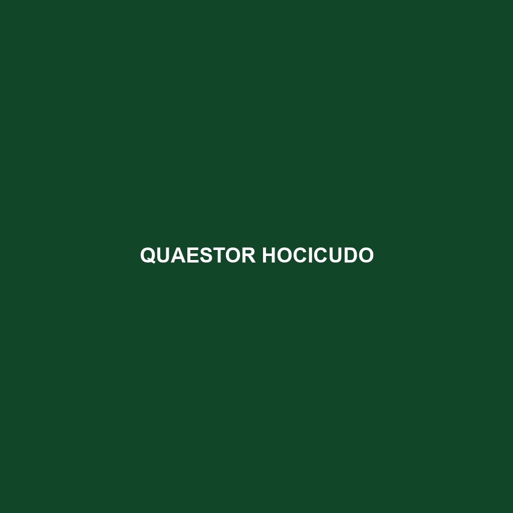 Quaestor Hocicudo