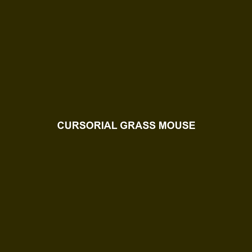 Cursorial Grass Mouse