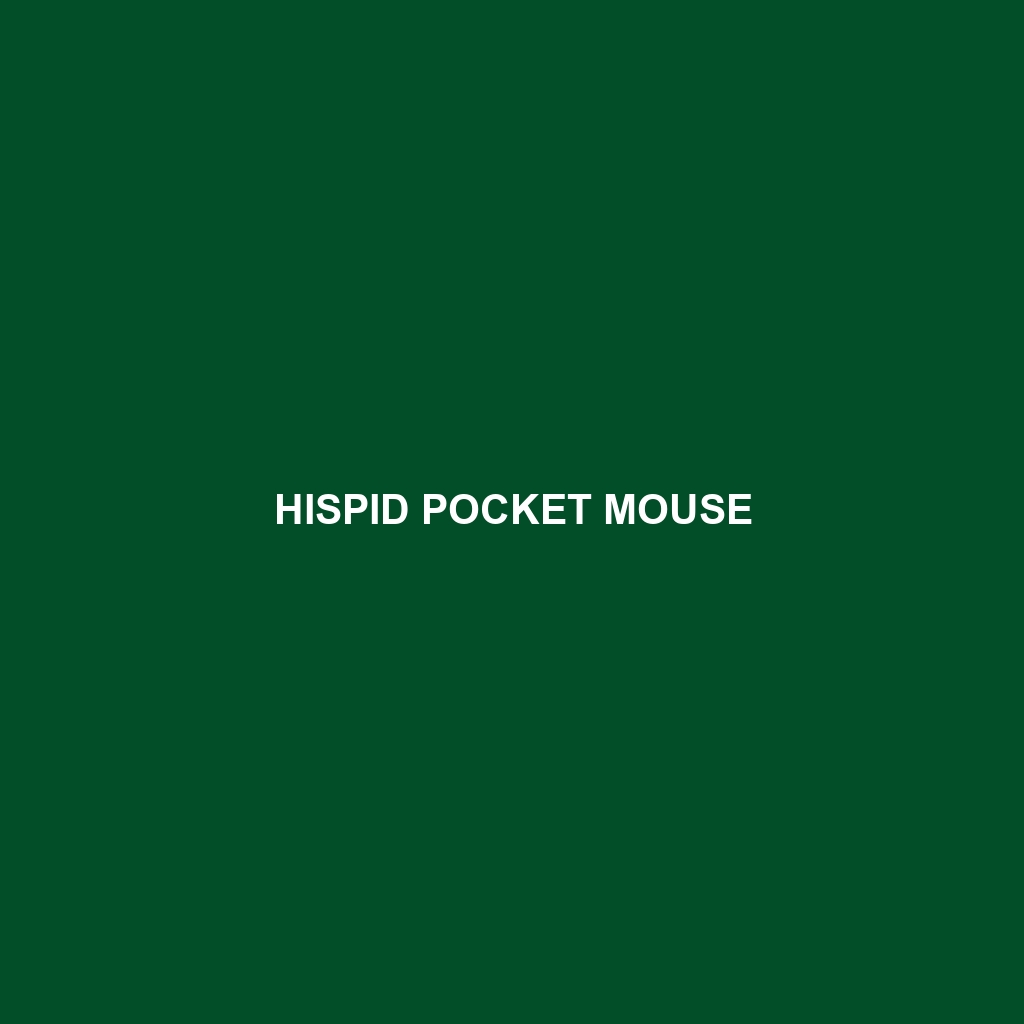 Hispid Pocket Mouse