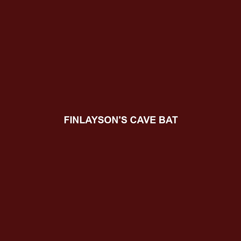 Finlayson's Cave Bat