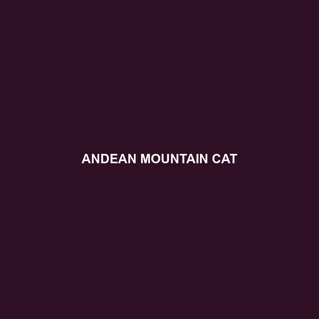 Andean Mountain Cat