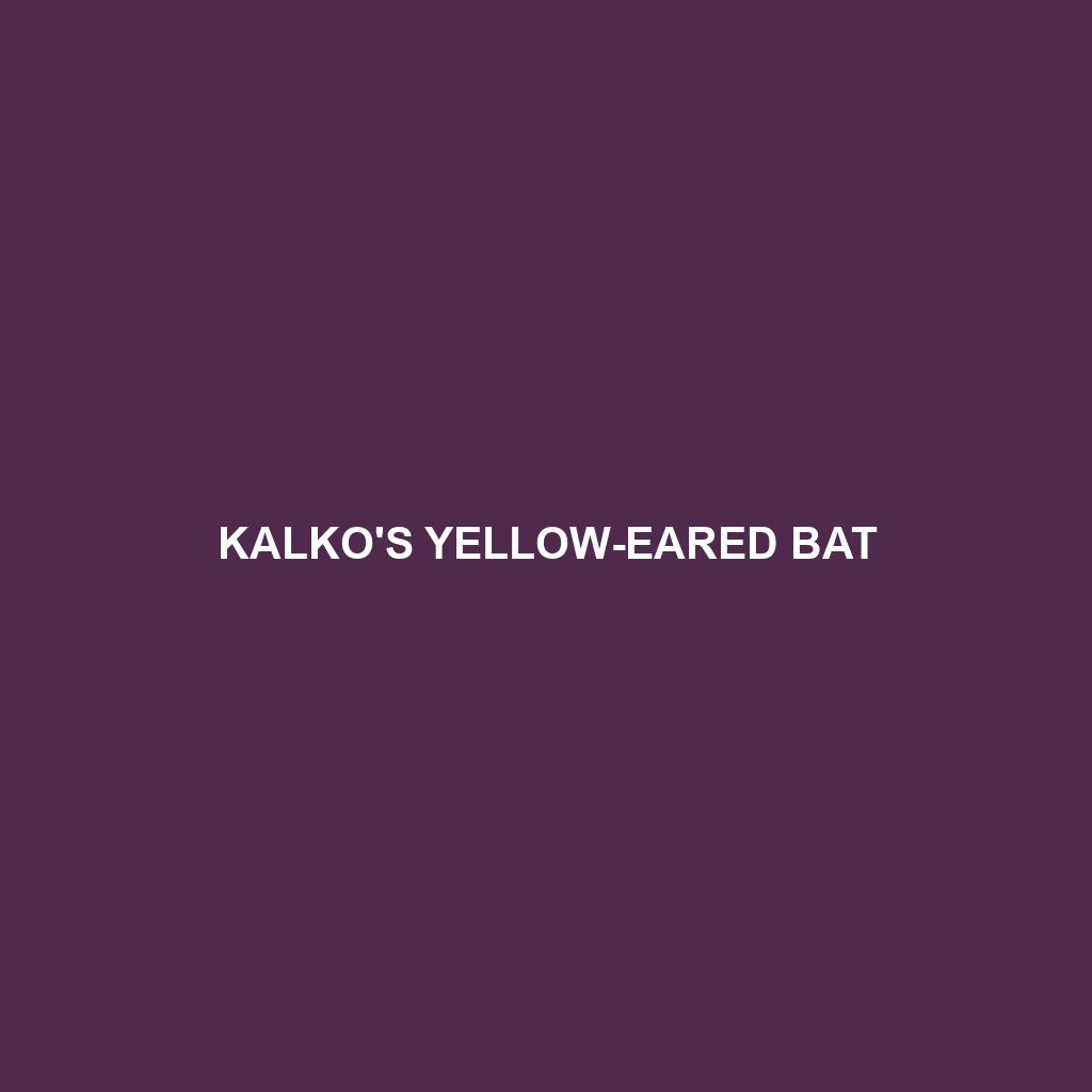 Kalko's Yellow-eared Bat