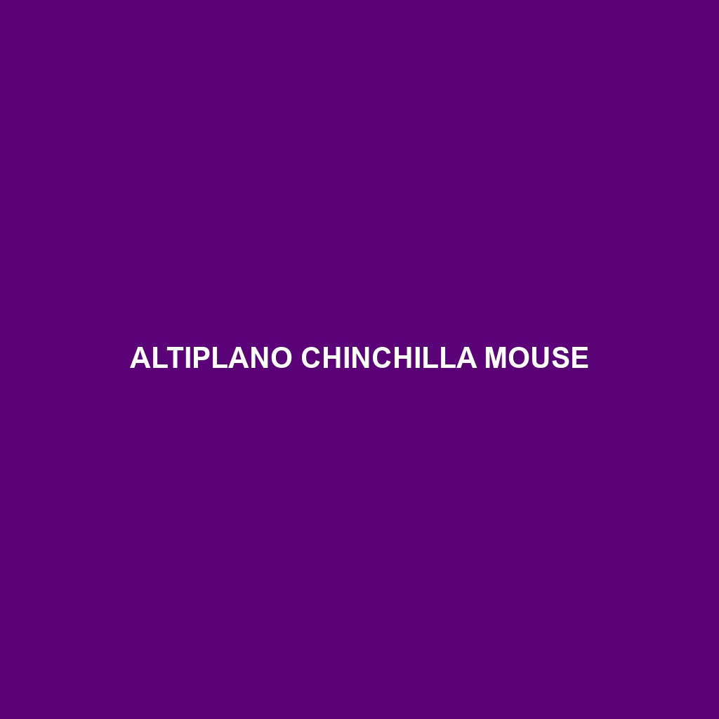 Altiplano Chinchilla Mouse