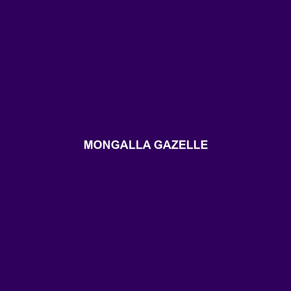 Mongalla Gazelle