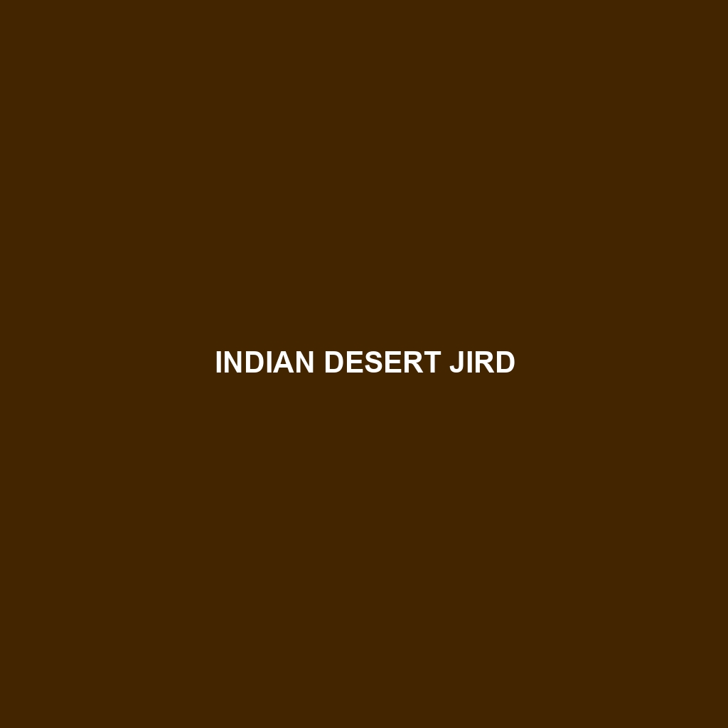 Indian Desert Jird