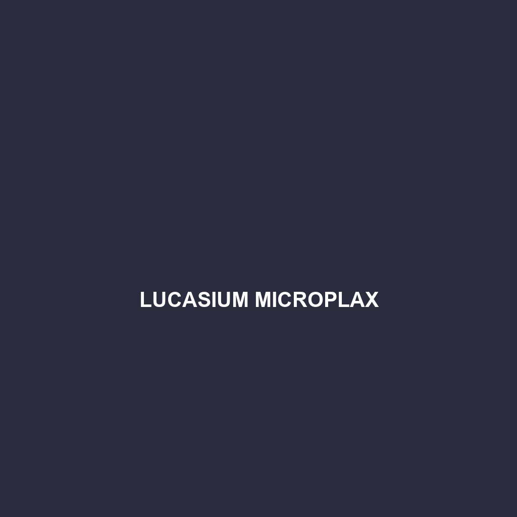 Lucasium microplax