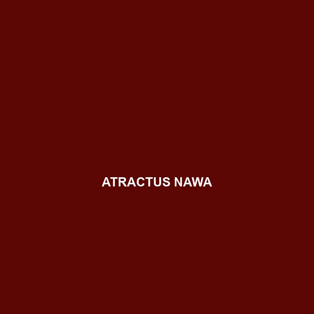 Atractus nawa