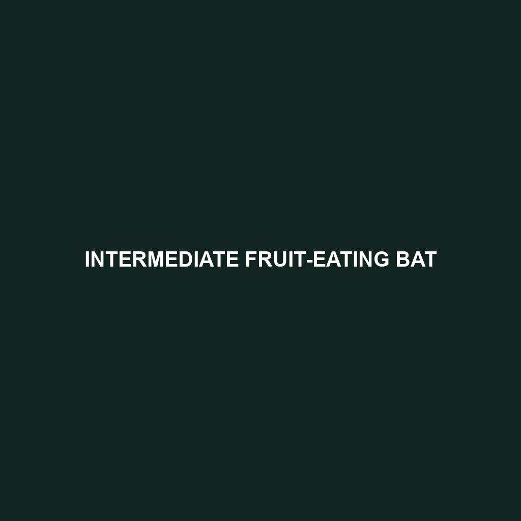 Intermediate Fruit-eating Bat