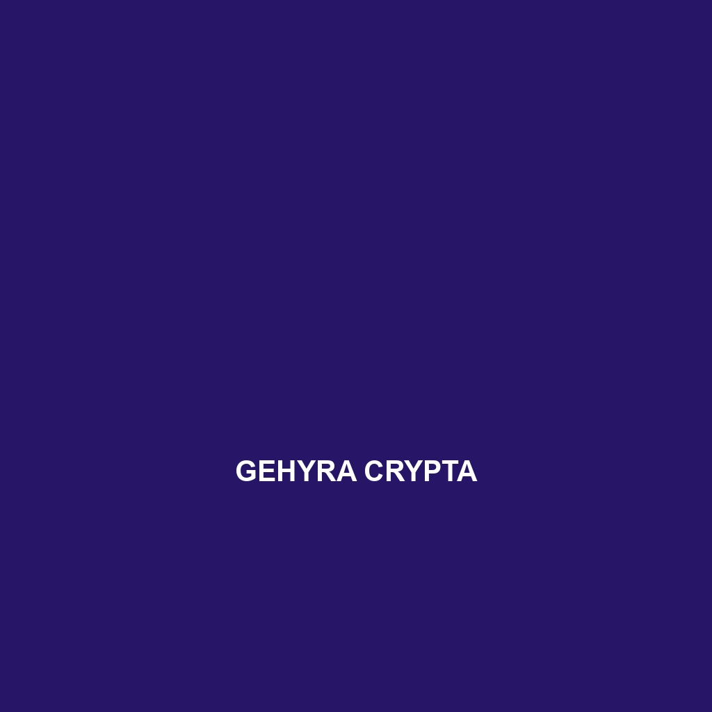 Gehyra crypta