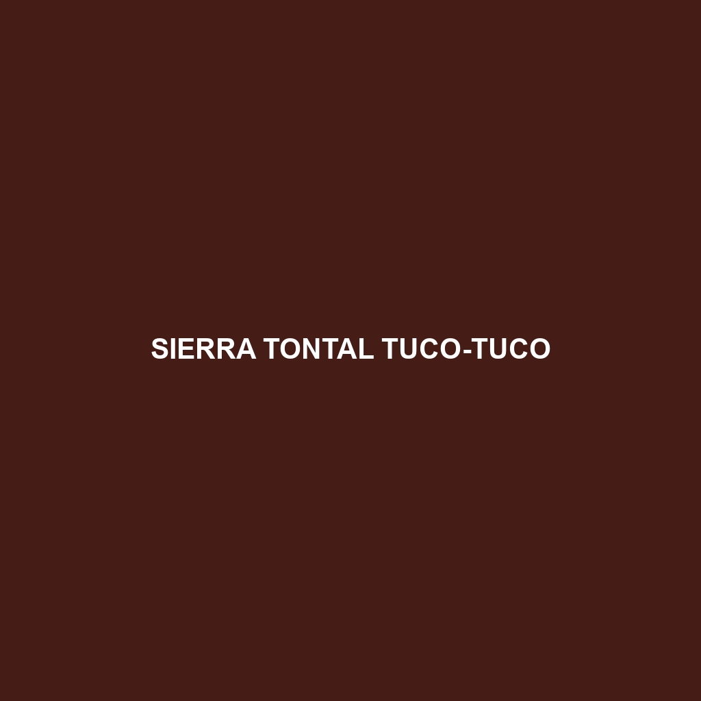 Sierra Tontal Tuco-tuco