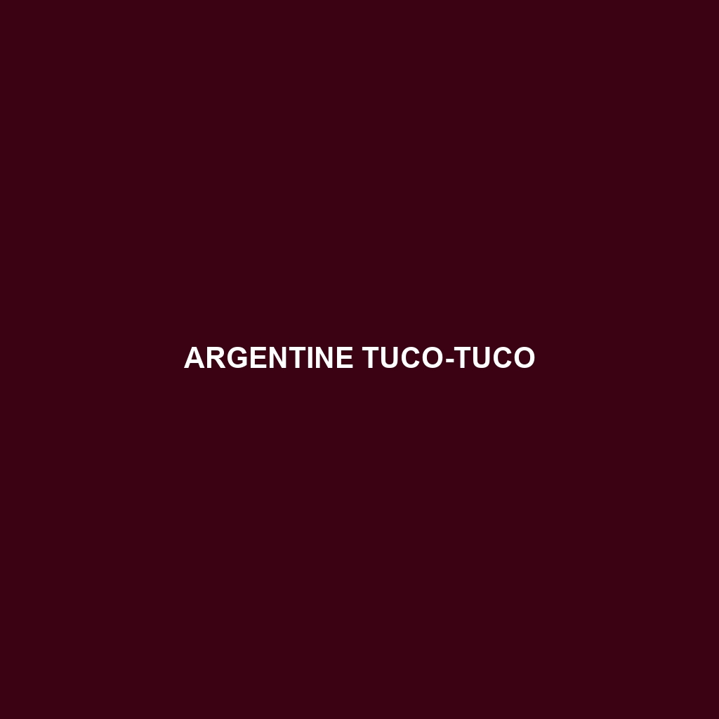 Argentine Tuco-tuco