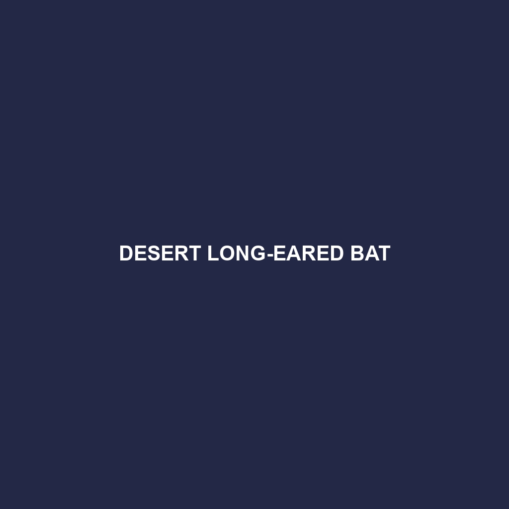 Desert Long-eared Bat