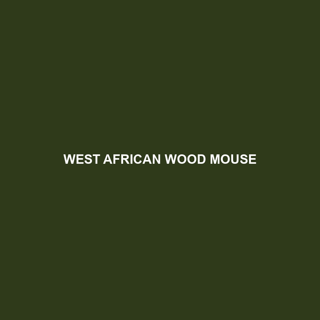 West African Wood Mouse